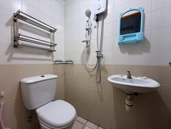 The Floravale (D22), Condominium #529542391